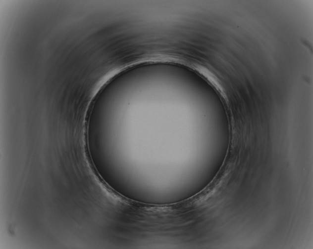 X0000093370853200710111325