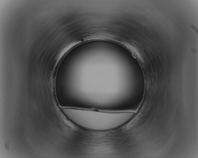 X0000093370854200710111325