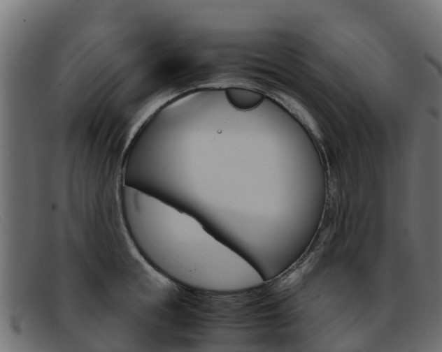 X0000093370855200710111325