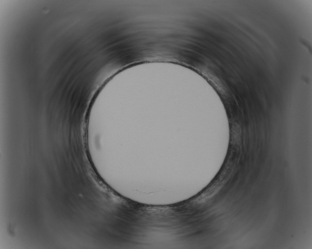 X0000093370856200710111325