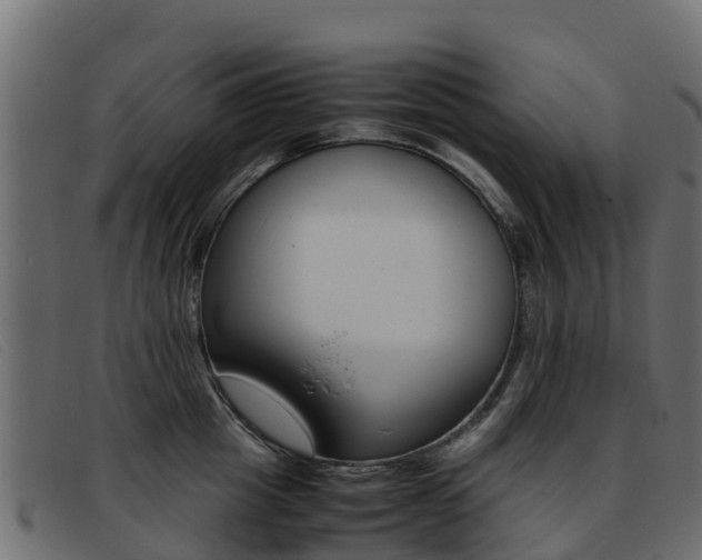 X0000093370857200710111325