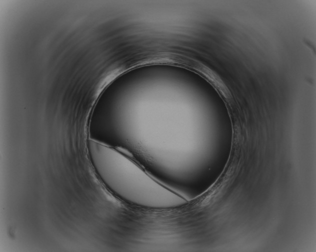 X0000093370858200710111325