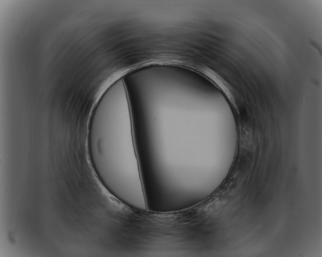 X0000093370861200710111325