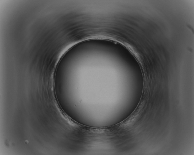 X0000093370862200710111325