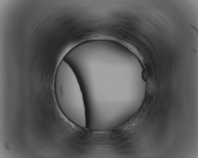 X0000093370863200710111325