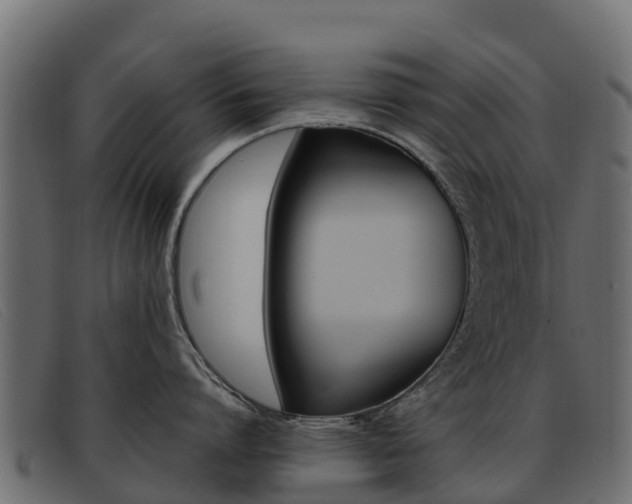 X0000093370864200710111325
