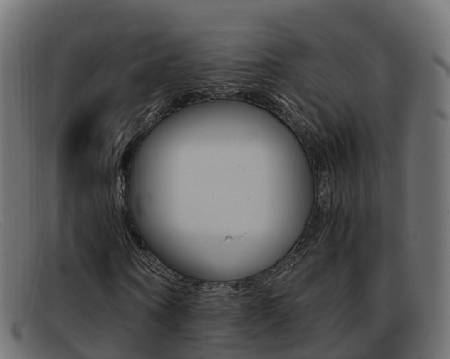 X0000093370866200710111325