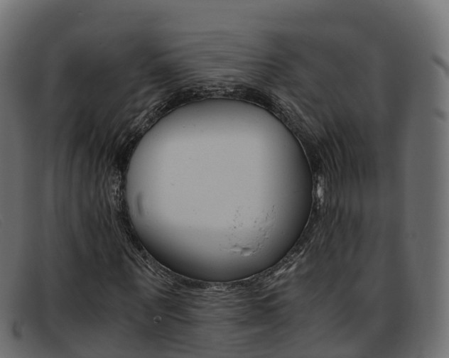 X0000093370867200710111325