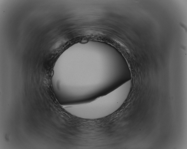 X0000093370869200710111325