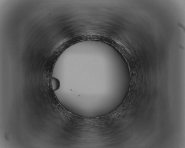 X0000093370870200710111325