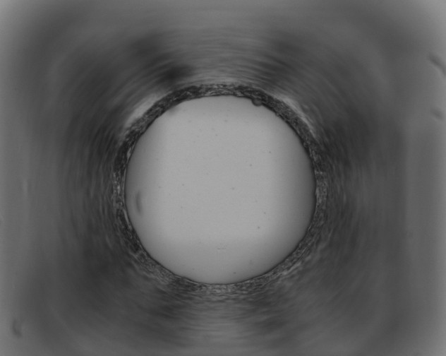X0000093370871200710111325