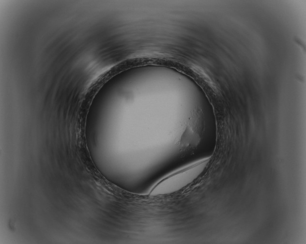 X0000093370872200710111325