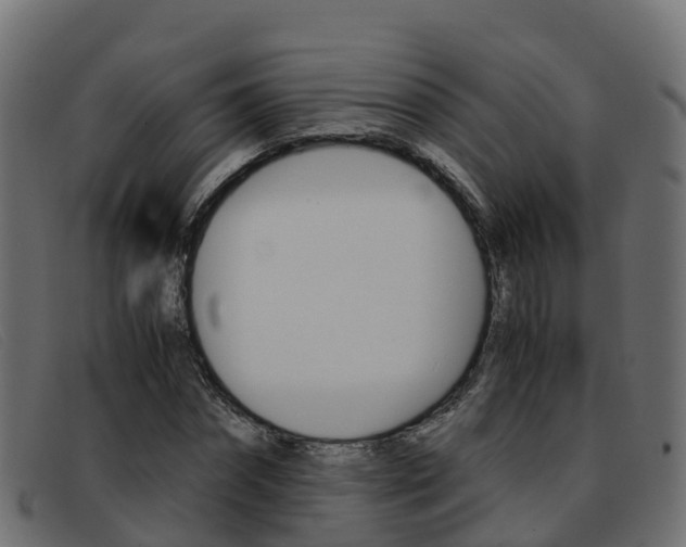 X0000093370874200710111325
