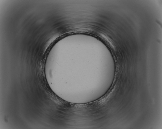 X0000093370875200710111325