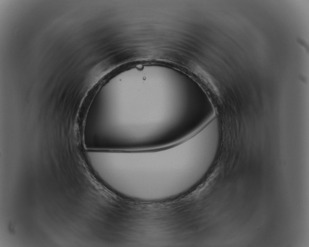 X0000093370876200710111325