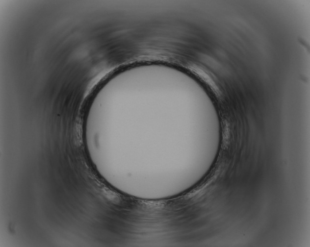 X0000093370878200710111325