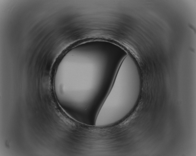 X0000093370880200710111325