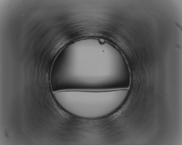 X0000093370881200710111325