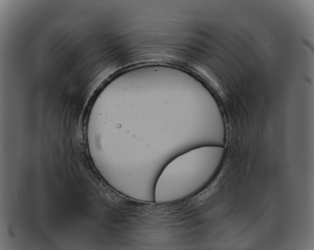 X0000093370883200710111325