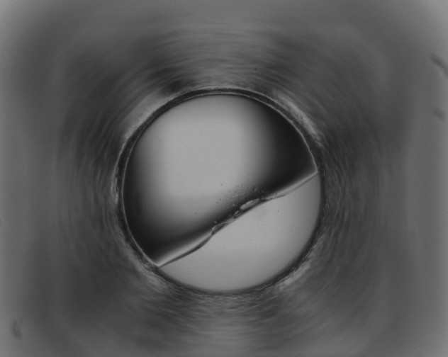 X0000093370885200710111325