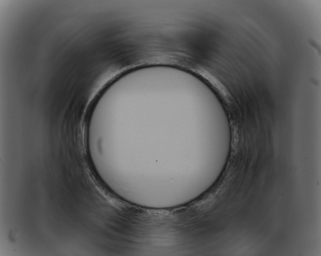 X0000093370886200710111325