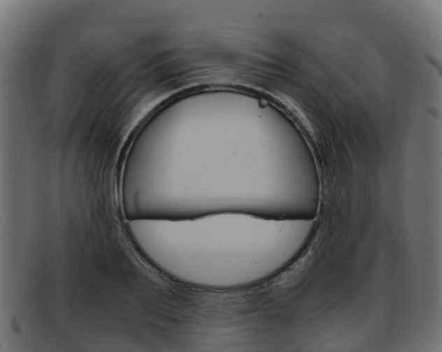 X0000093370887200710111324