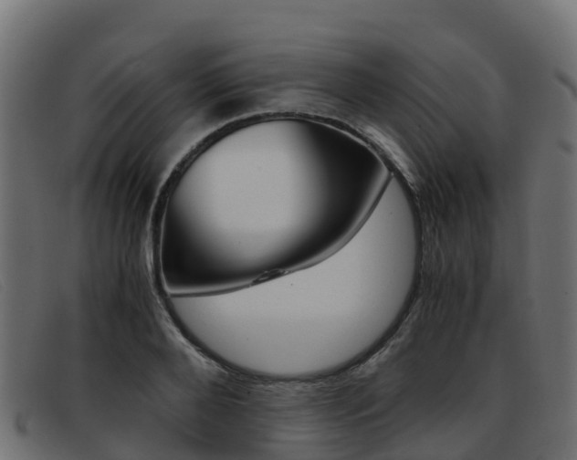 X0000093370888200710111324