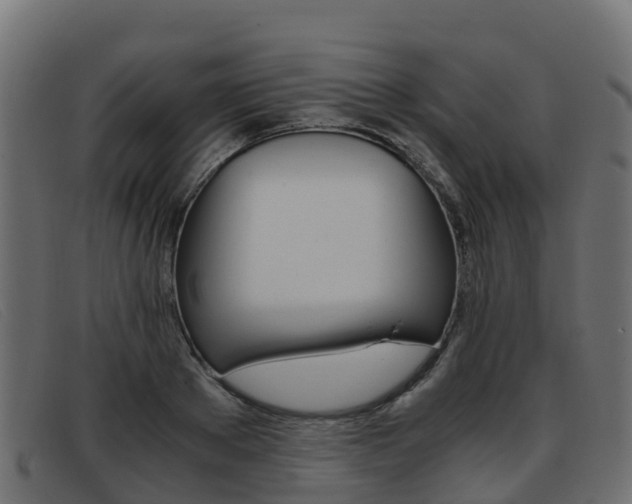 X0000093370889200710111324