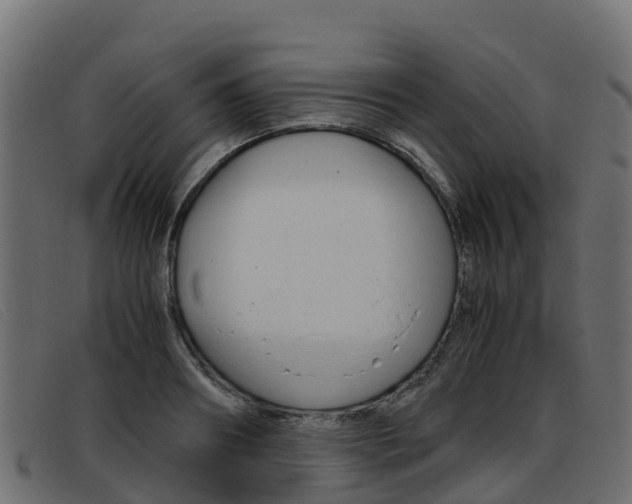 X0000093370890200710111324