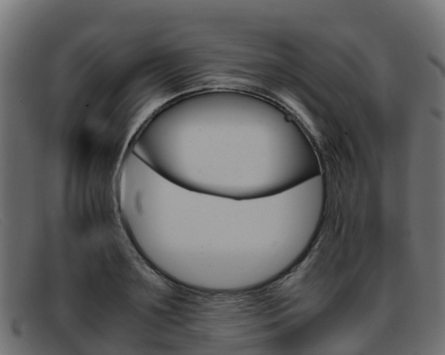 X0000093370891200710111324