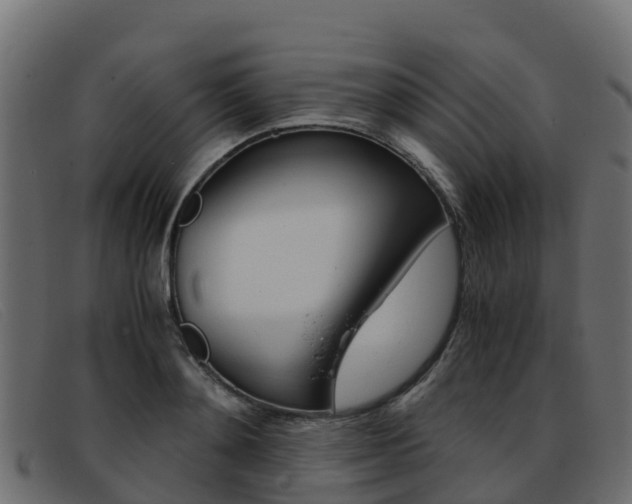 X0000093370892200710111324