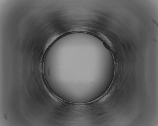 X0000093370893200710111324
