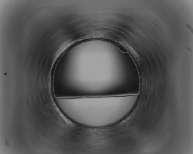 X0000093370894200710111324