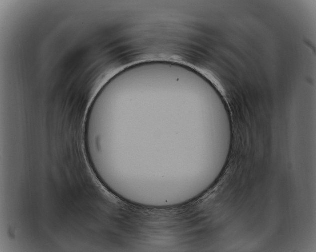 X0000093370895200710111324