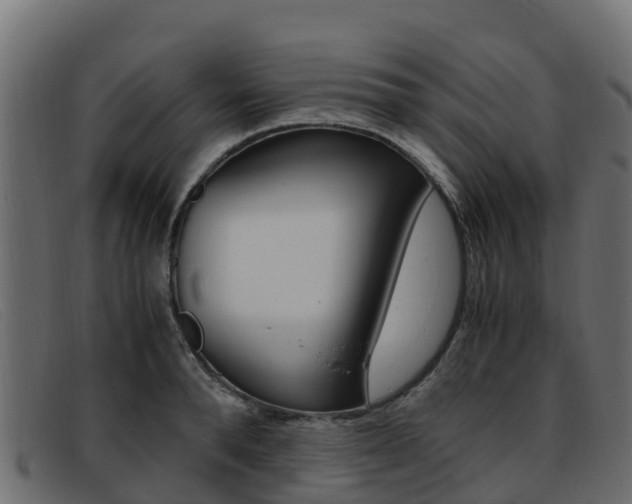 X0000093370896200710111324
