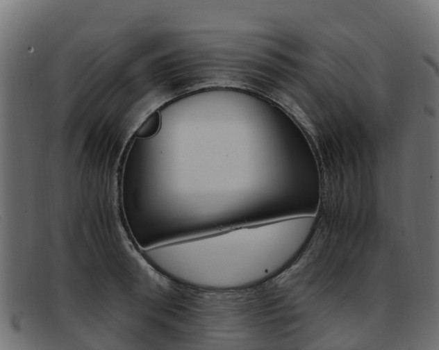X0000093370898200710111324