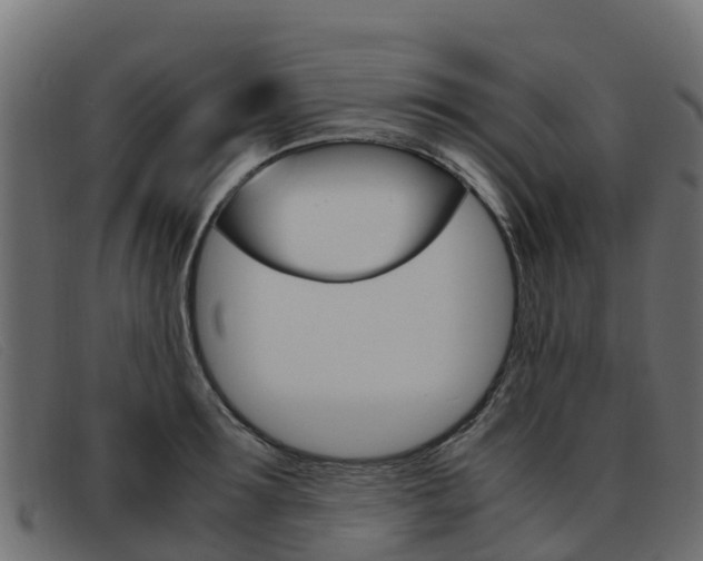 X0000093370899200710111324
