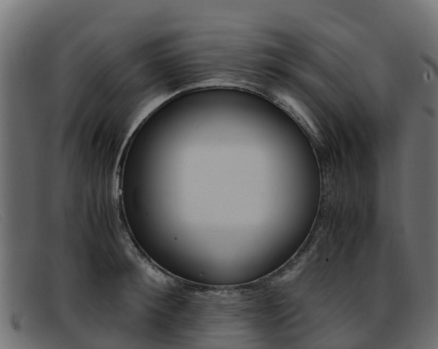 X0000093370900200710111324