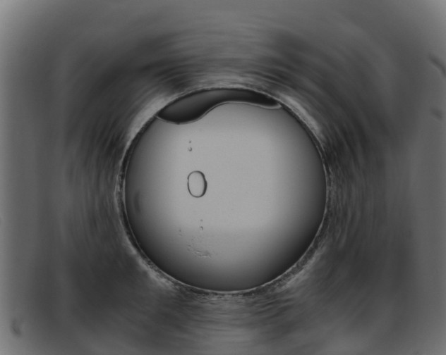 X0000093370901200710111324