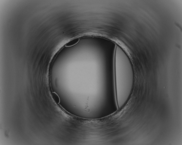 X0000093370902200710111324