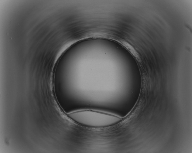 X0000093370904200710111324