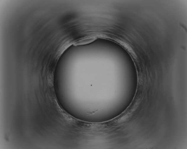 X0000093370905200710111324
