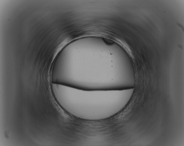 X0000093370907200710111324