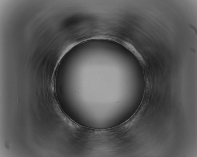 X0000093370908200710111324