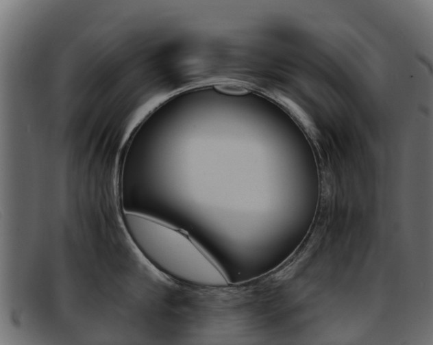 X0000093370910200710111324