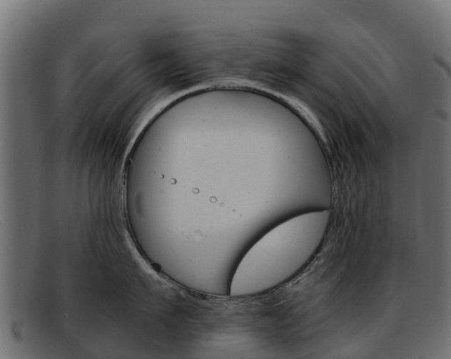 X0000093370911200710111324