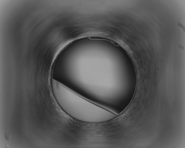 X0000093370912200710111324