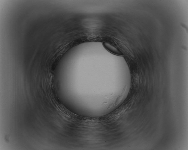 X0000093370914200710111324