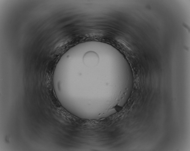X0000093370917200710111324