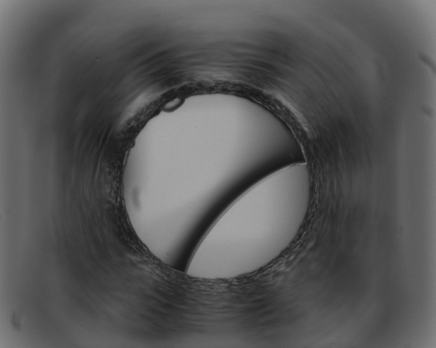 X0000093370919200710111324